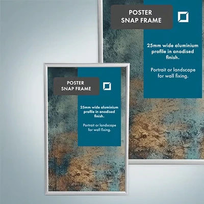  Poster - Snap - Frame - Web - 2026