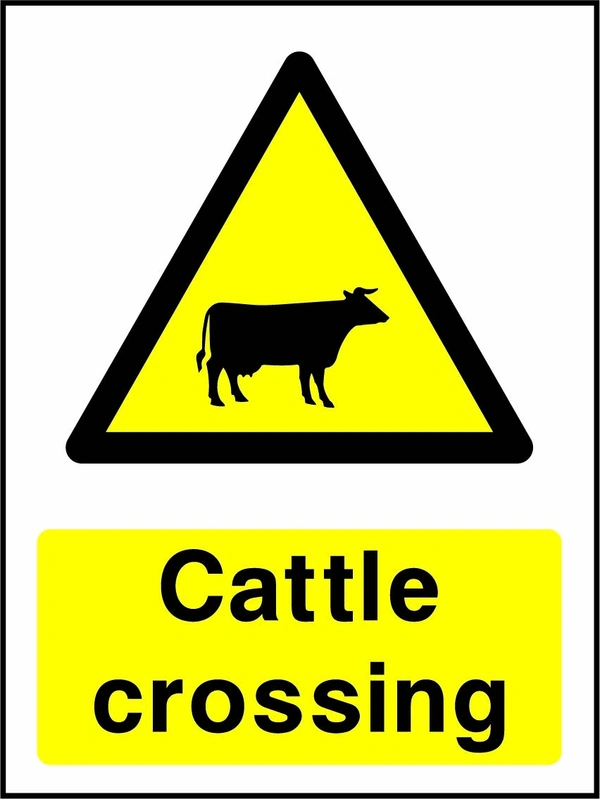 Cattle crossing sign showing yellow animal warning triangle above wording. Artwork COUN0010.