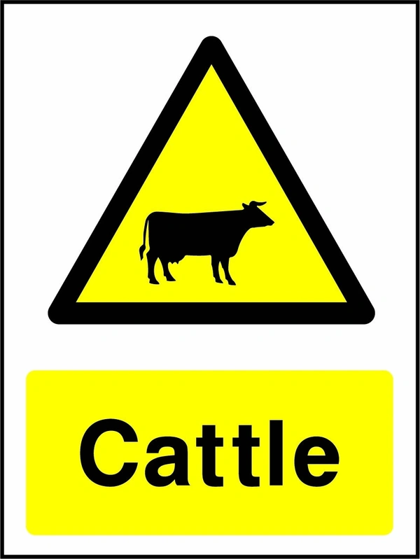 Cattle sign showing yellow animal warning triangle above wording. Artwork COUN0008.
