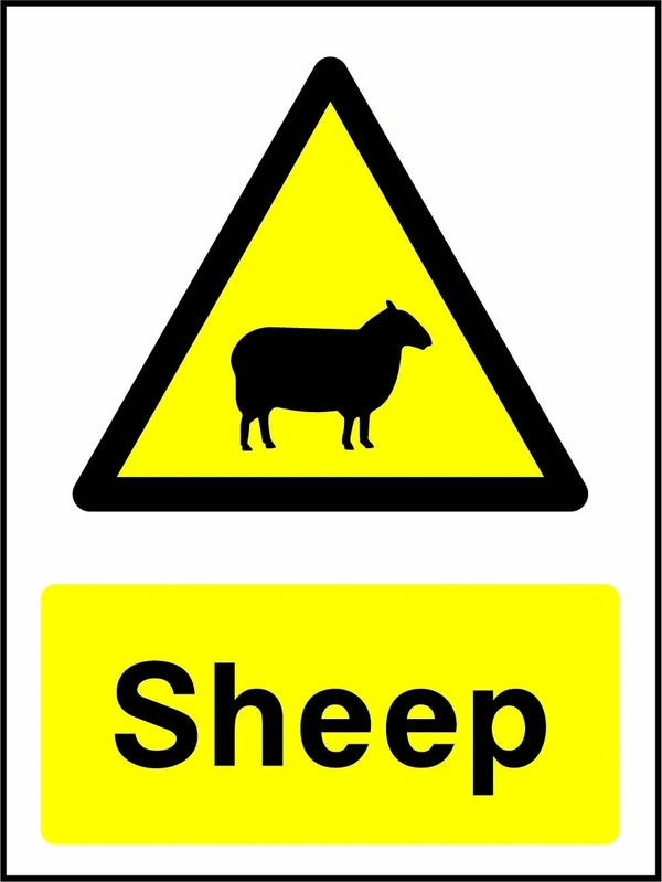 Sheep sign showing yellow animal warning triangle above wording. Artwork COUN0011.